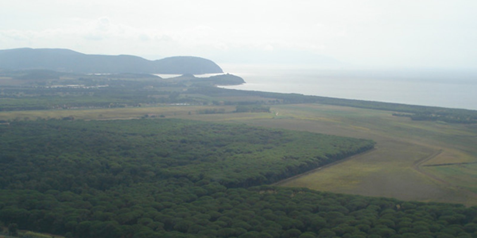 Tenuta di Rimigliano